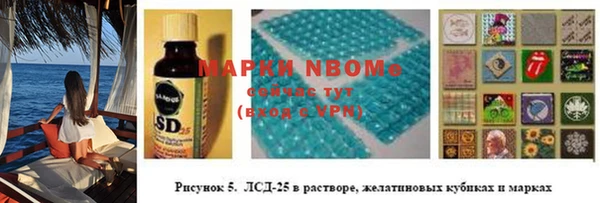 ГАЛЛЮЦИНОГЕННЫЕ ГРИБЫ Медвежьегорск