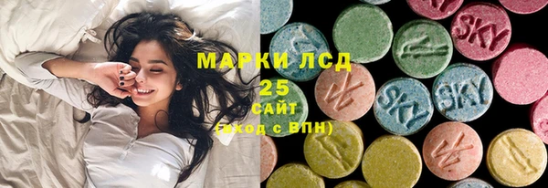 ГАЛЛЮЦИНОГЕННЫЕ ГРИБЫ Медвежьегорск